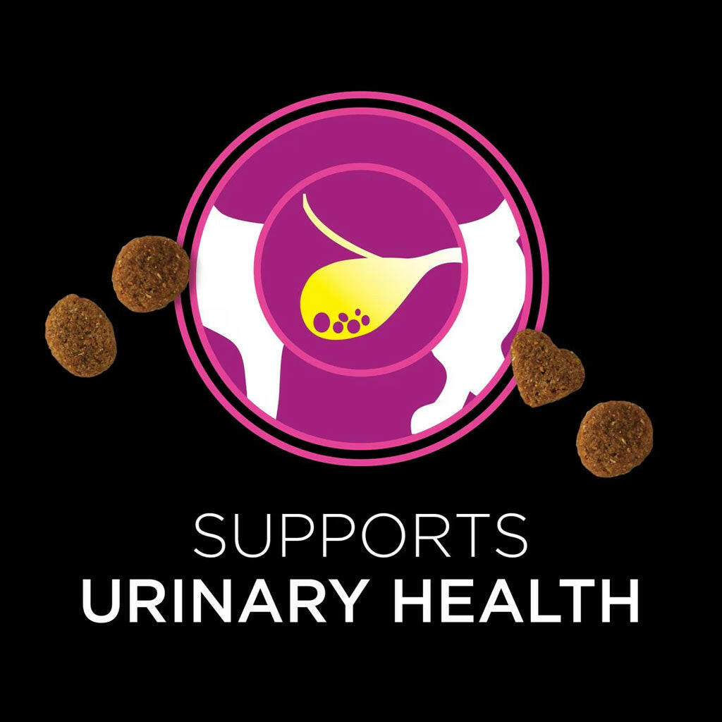 Purina Pro Plan Veterinary Diets Urinary Health Treat for Cats