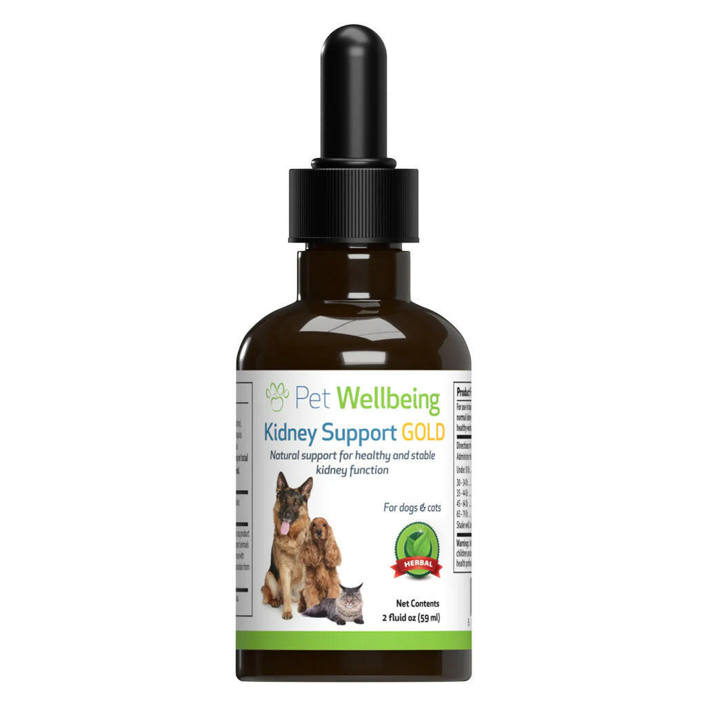 Pet Wellbeing Kidney Support Gold for Dogs