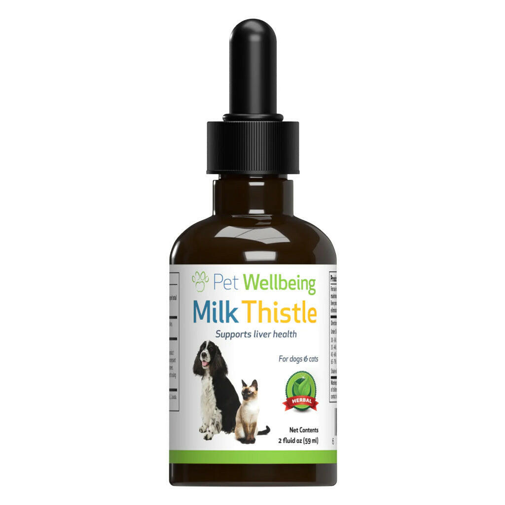 Milk Thistle Supplement for Healthy Liver Function in Dogs