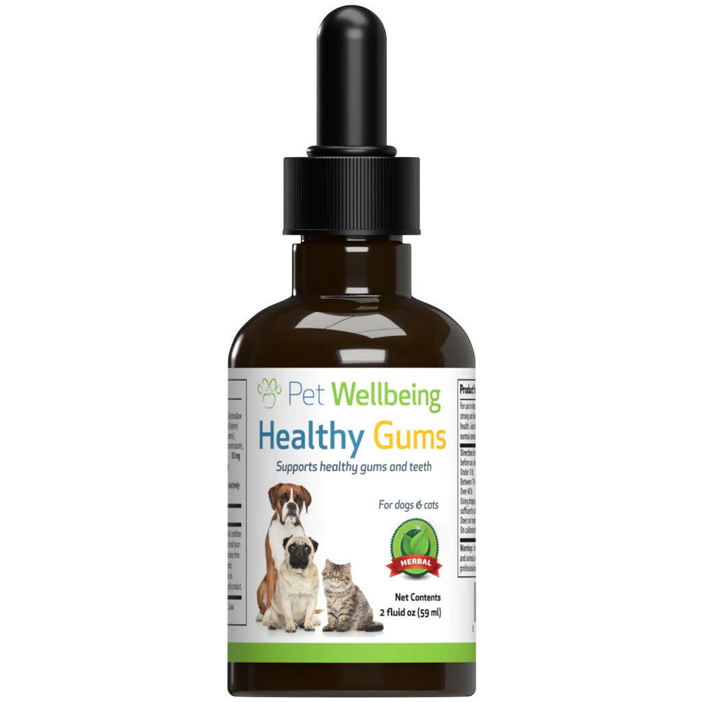 Healthy Gums for Feline Periodontal Health