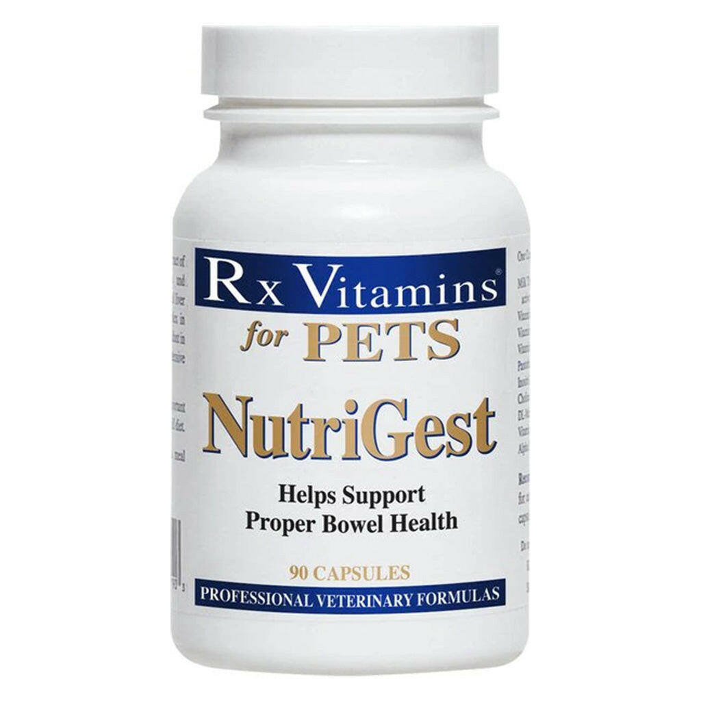 Rx Vitamins NutriGest for Dogs and Cats (90 caps)