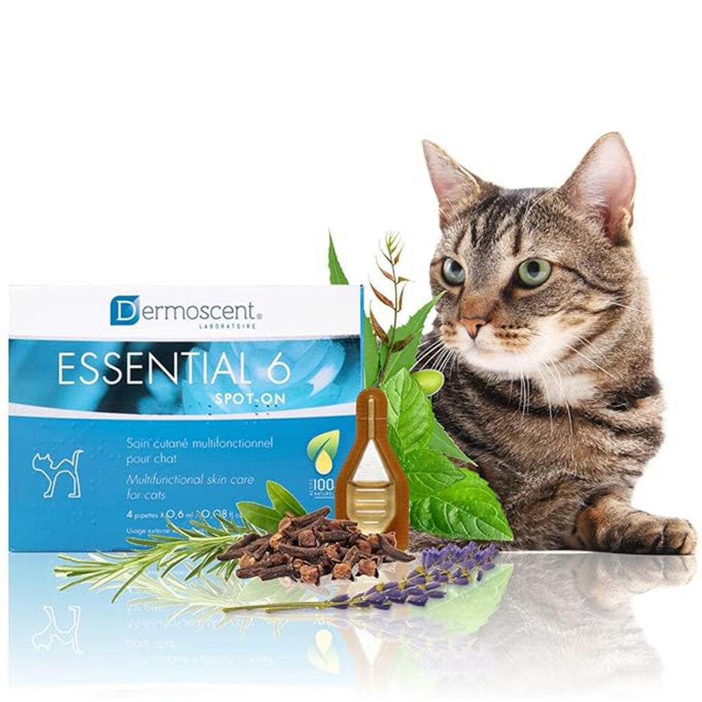 Dermoscent Essential-6 SpotOn Skin Care for Cats (4 count)