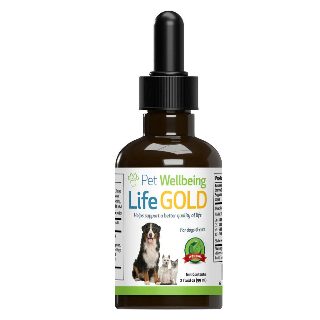 Life Gold - Trusted Care for Dog Cancer (2 oz)