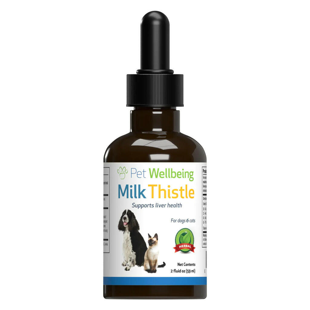 Milk Thistle - for Healthy Liver Function in Cats