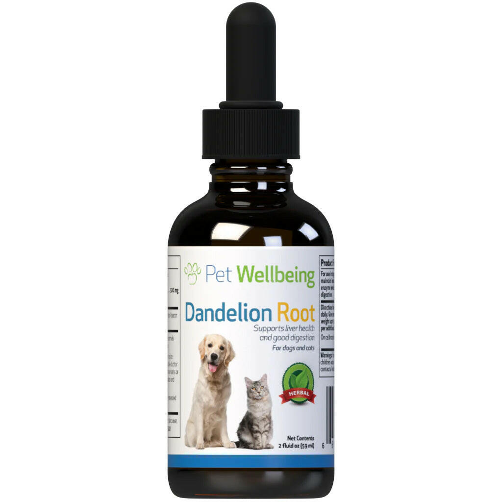 Dandelion Root Digestive & Liver Support for Cats