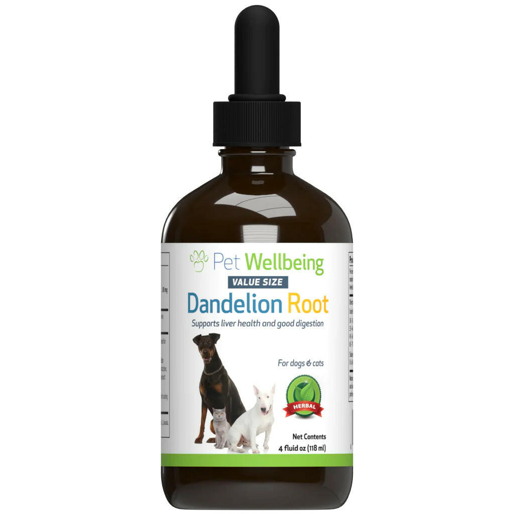 Dandelion Root Digestive & Liver Support for Cats