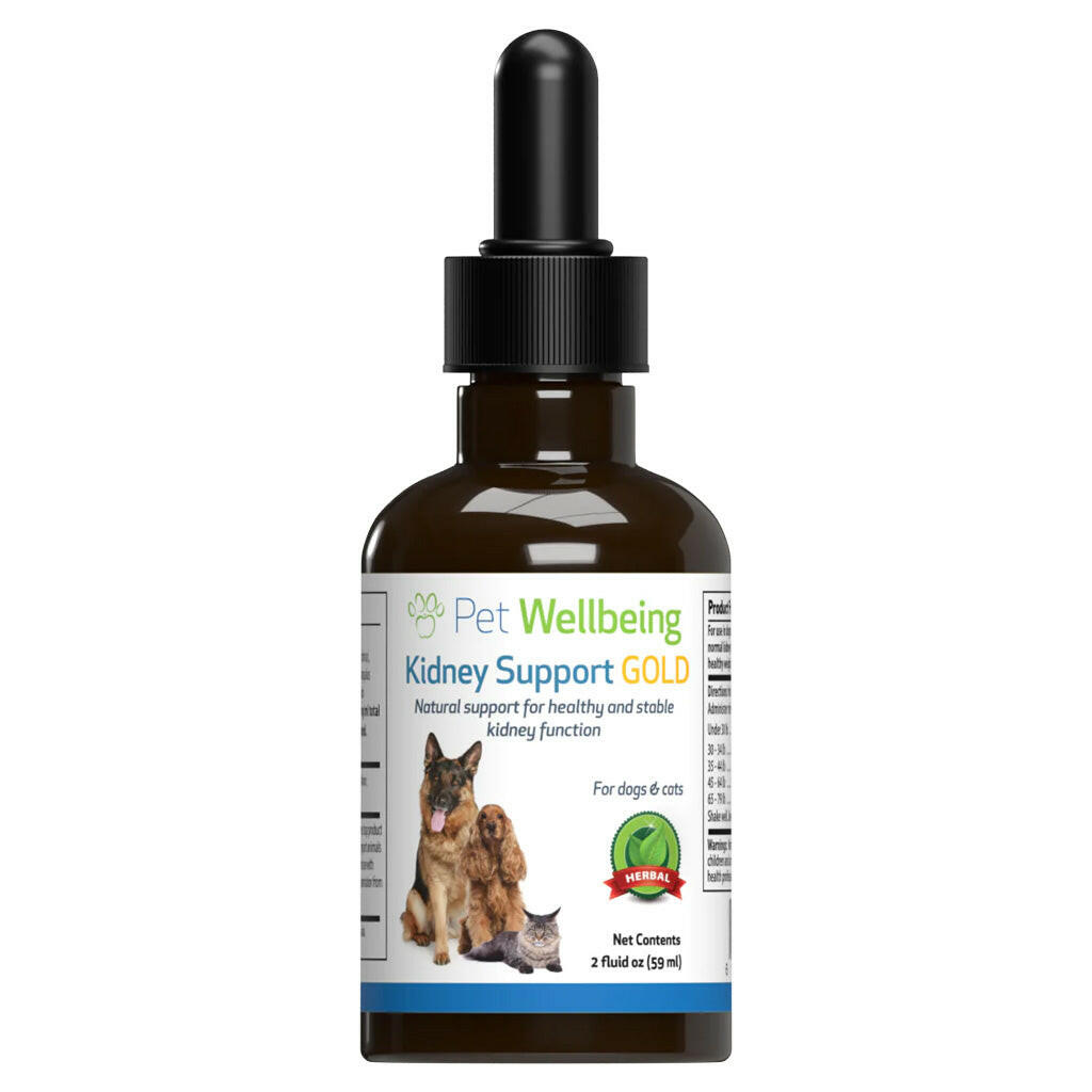 Pet Wellbeing Kidney Support Gold for Cats