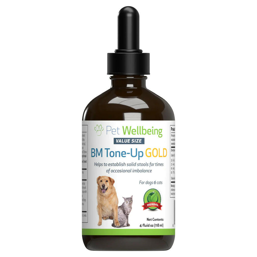 BM Tone-Up Gold for Loose Stools in Cats