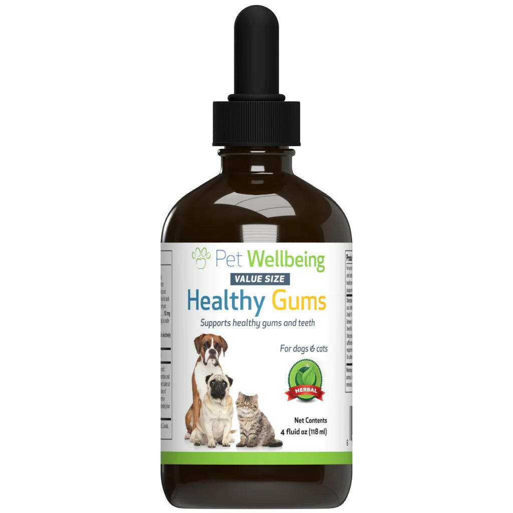 Healthy Gums for Canine Periodontal Health