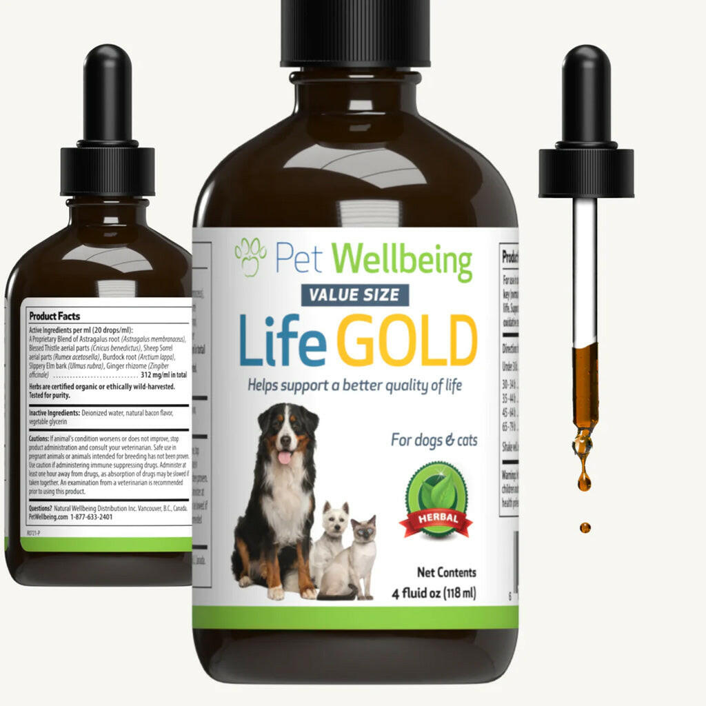 Life Gold - Trusted Care for Dog Cancer (4 oz)