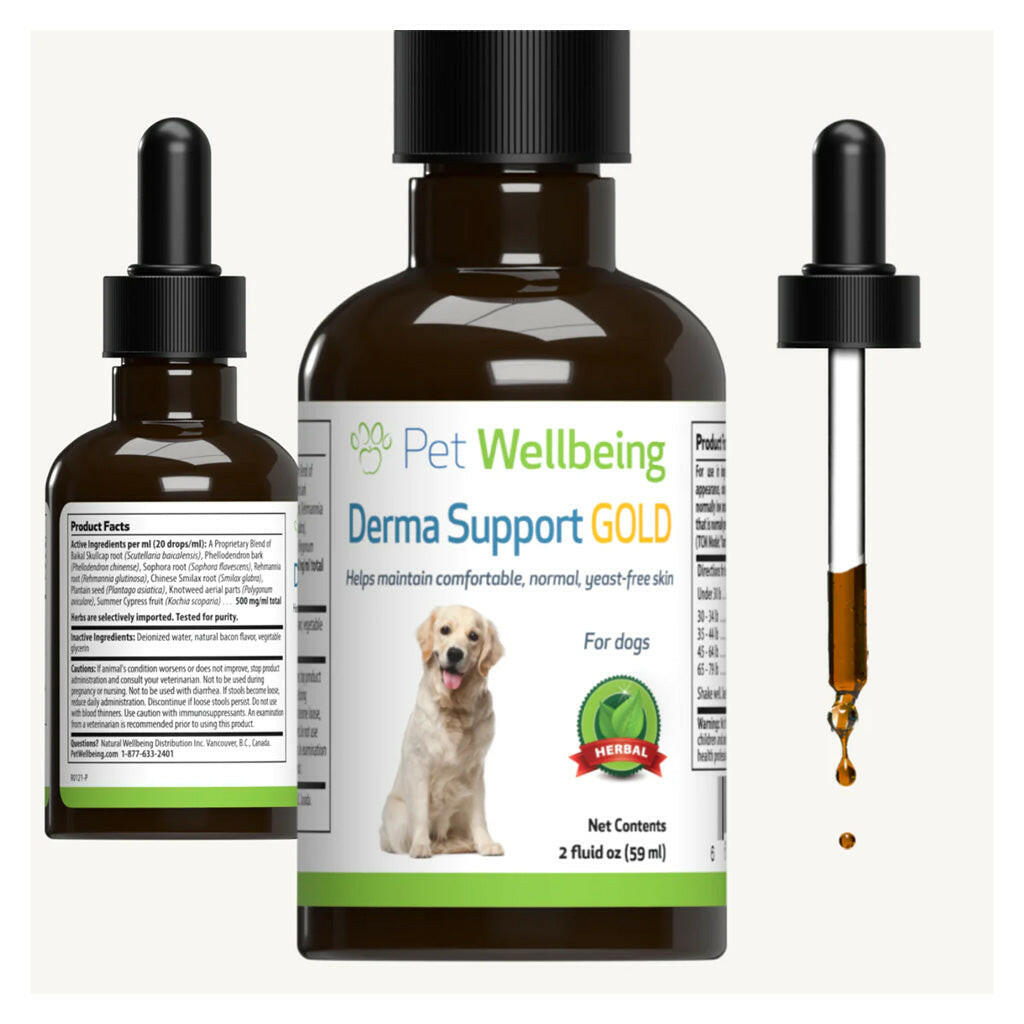 Derma Support Gold for Dogs Healthy Coat, Odor & Itching (2 oz)