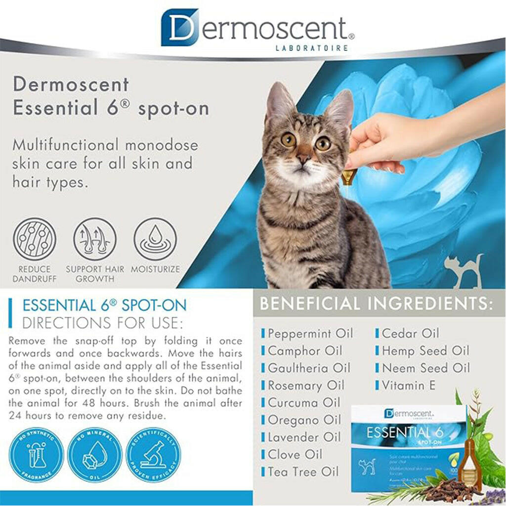 Dermoscent Essential-6 SpotOn Skin Care for Cats (4 count)