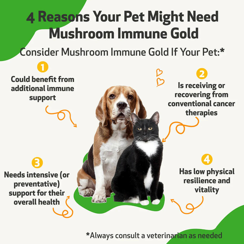 Mushroom Immune Gold - Holistic Cancer Support for Cats (8 oz)