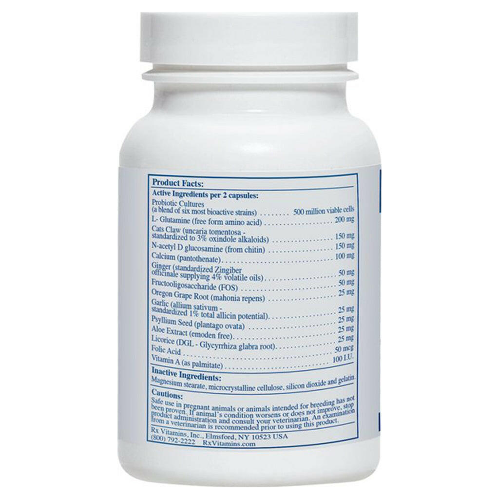 Rx Vitamins NutriGest for Dogs and Cats (90 caps)