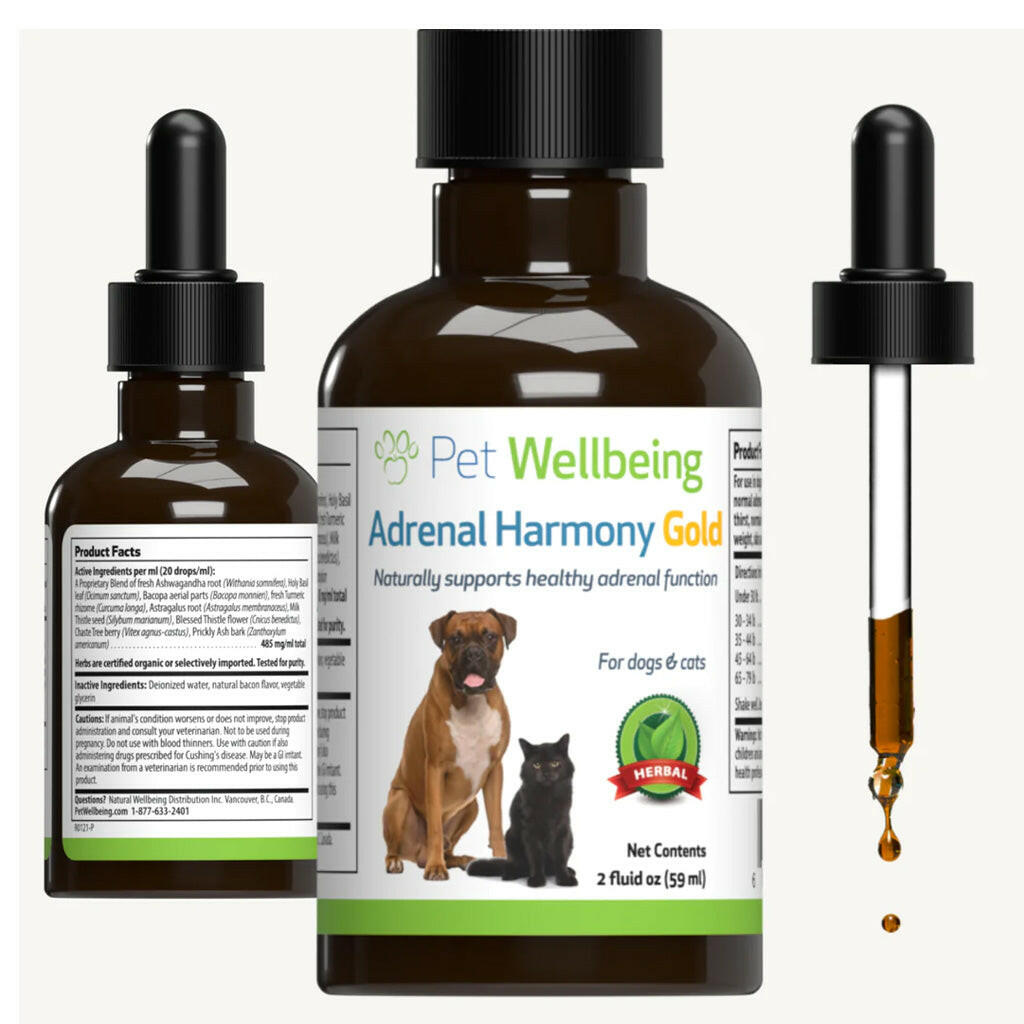 Adrenal Harmony Gold for Cushing's Disease in Dogs