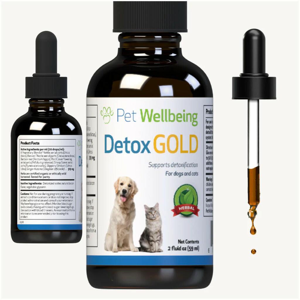 Pet Wellbeing Detox Gold for Cats