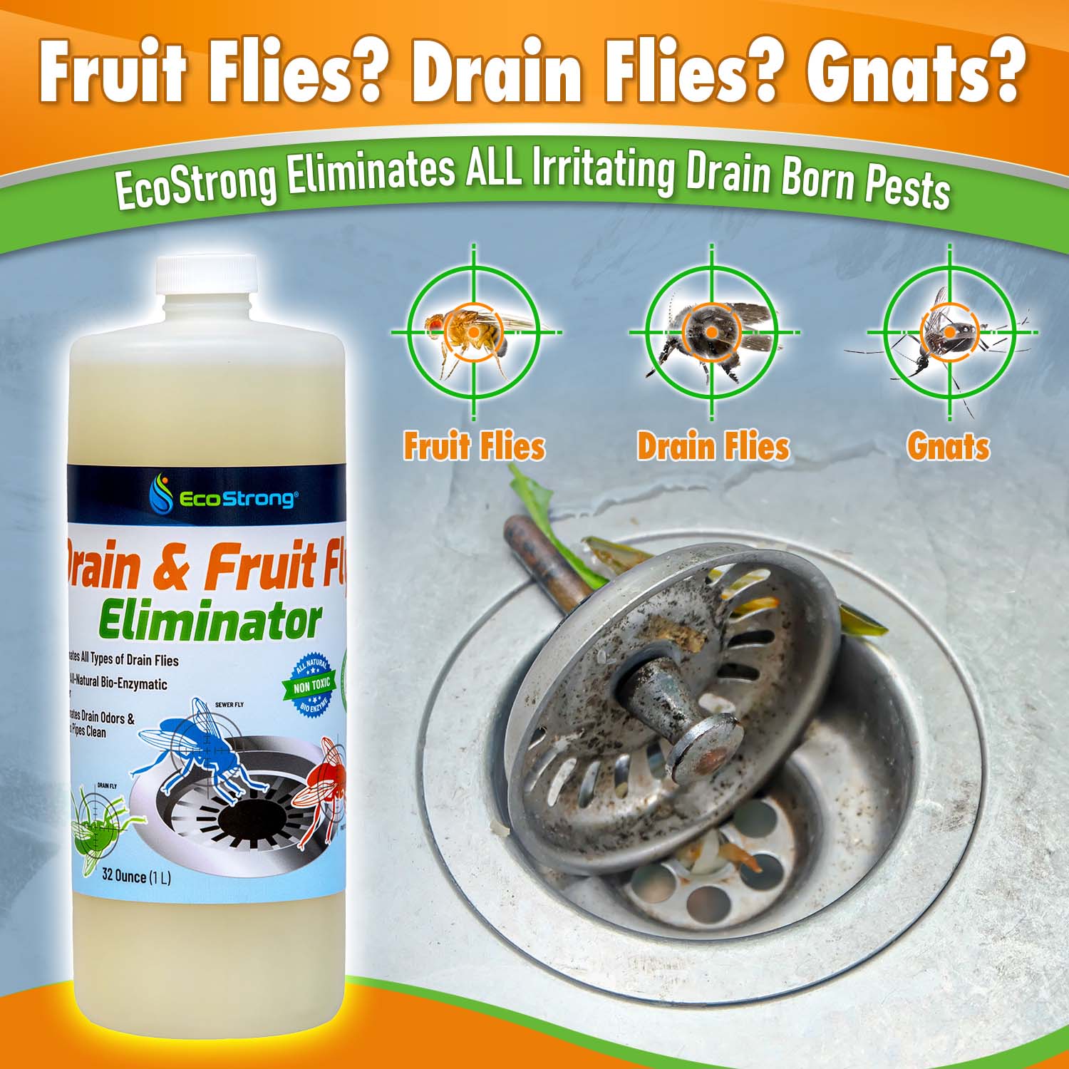 Drain and Fruit Fly Eliminator