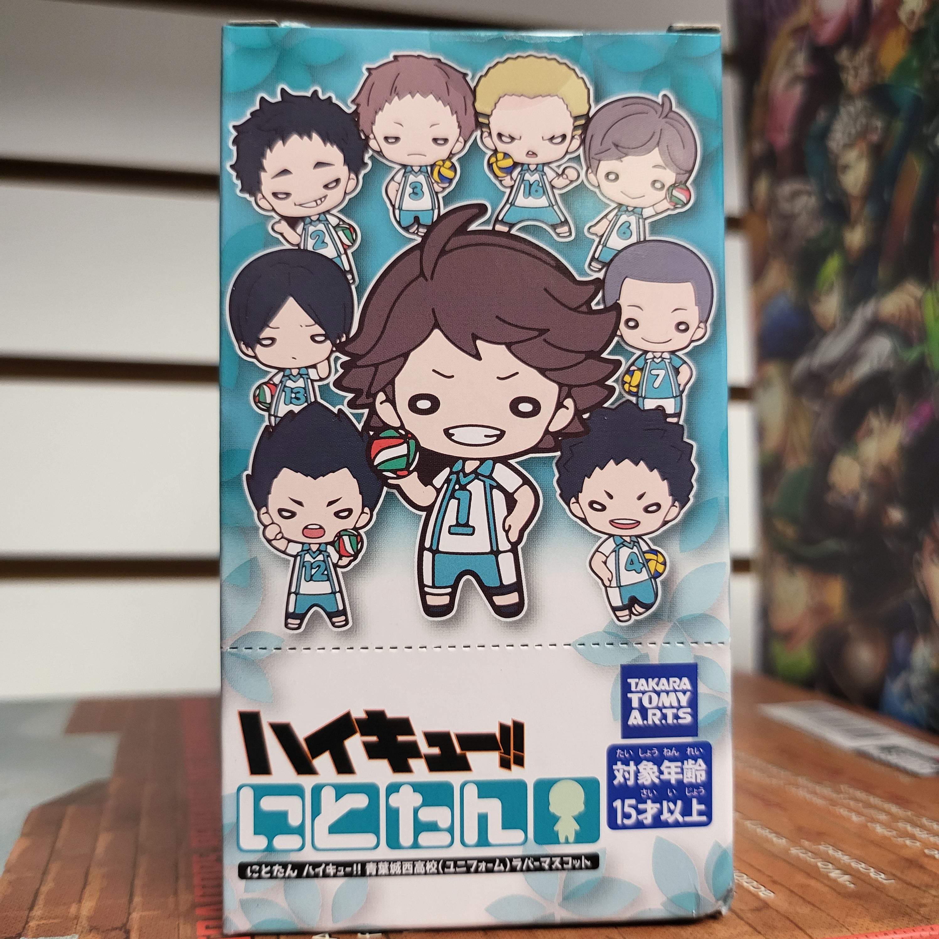 Haikyuu Rubber Keychain Blind Box