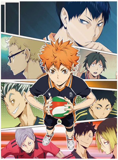 Haikyuu! Wallscroll