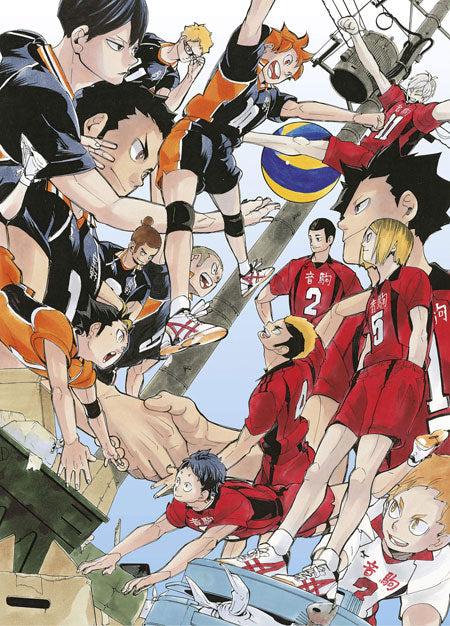 Haikyuu Wallscroll