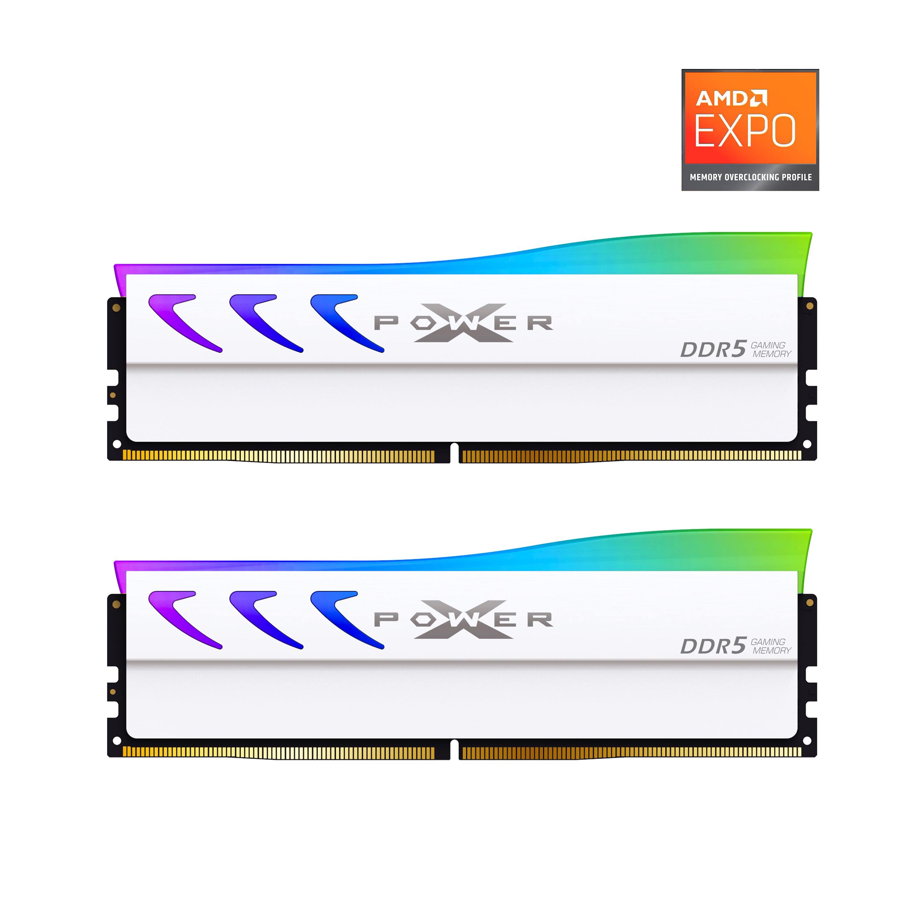 Silicon Power Storm RGB DDR5 6000MHz (PC5-48000) CL36 32GB(16GBx2) Dual Pack 1.35V Desktop Unbuffered DIMM