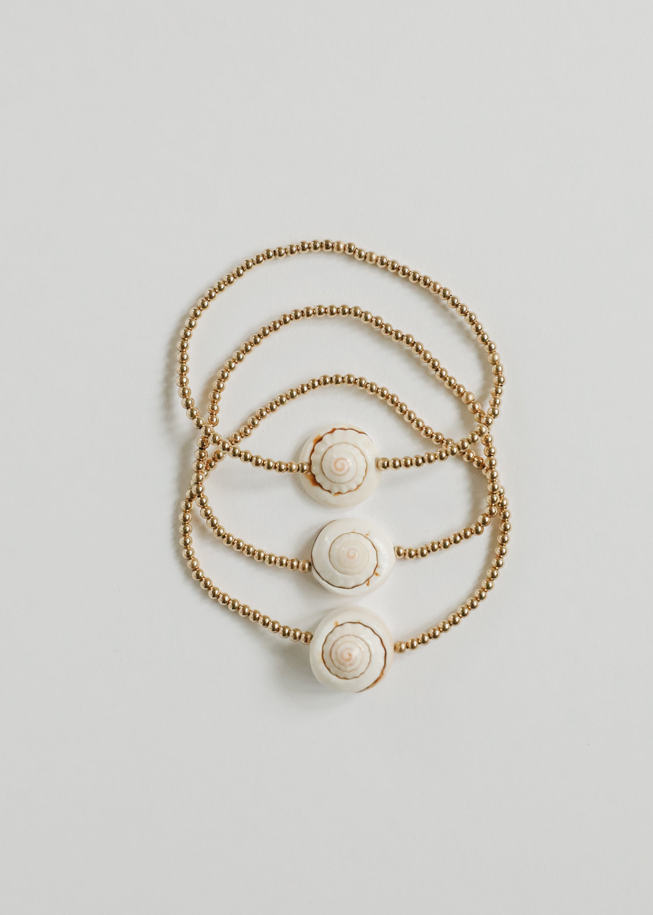 Dainty Gold + Sea Shell || Adult Anklet or Bracelet