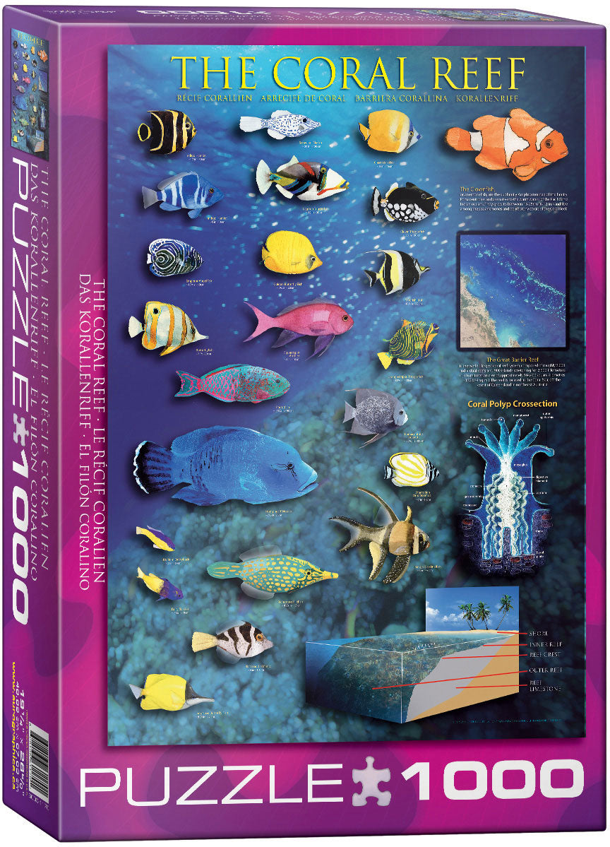 Puzzle: Animal Charts - Coral Reef