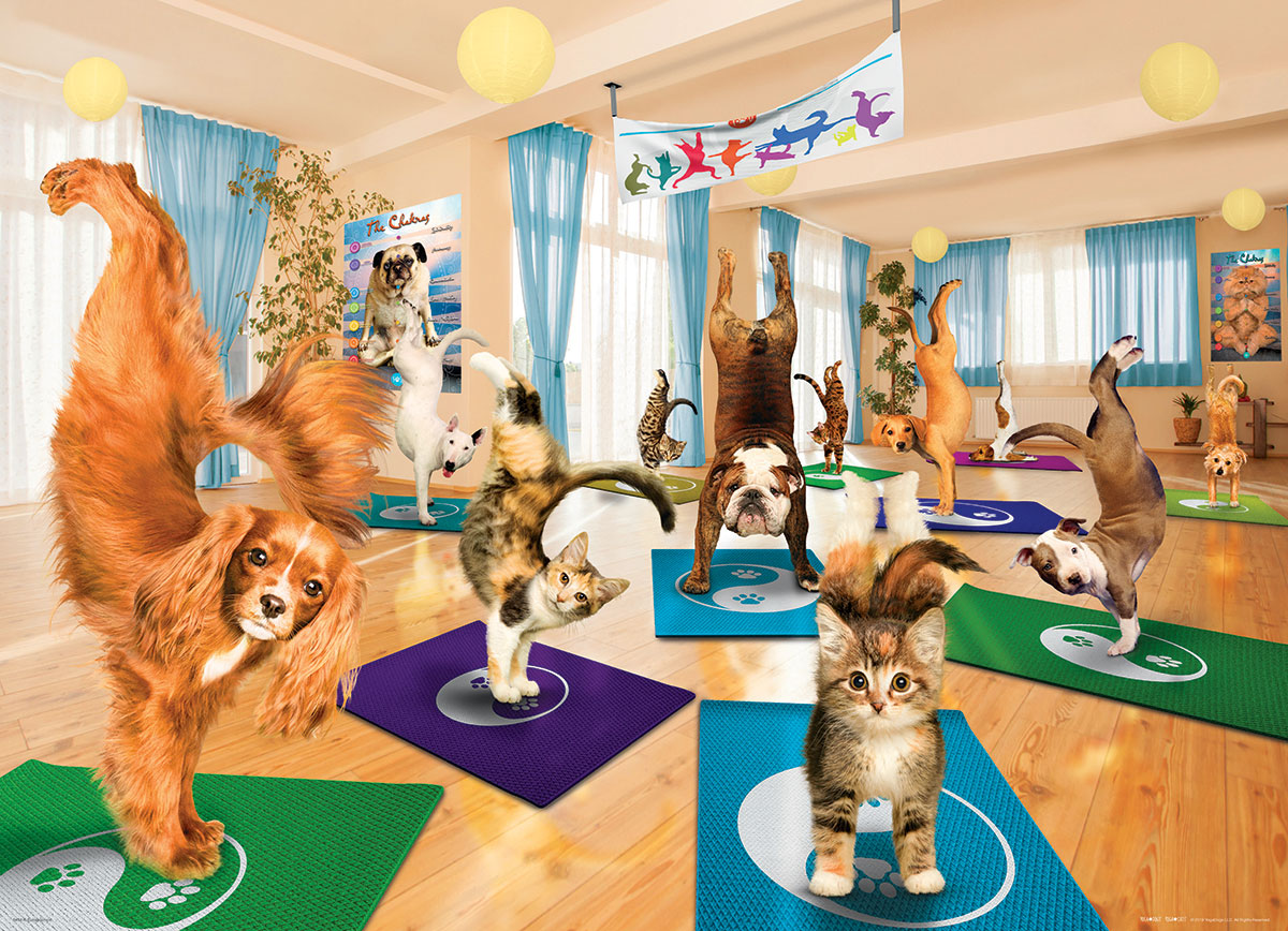 Puzzle: Yoga Dogs & Cats Collection - Yoga Studio