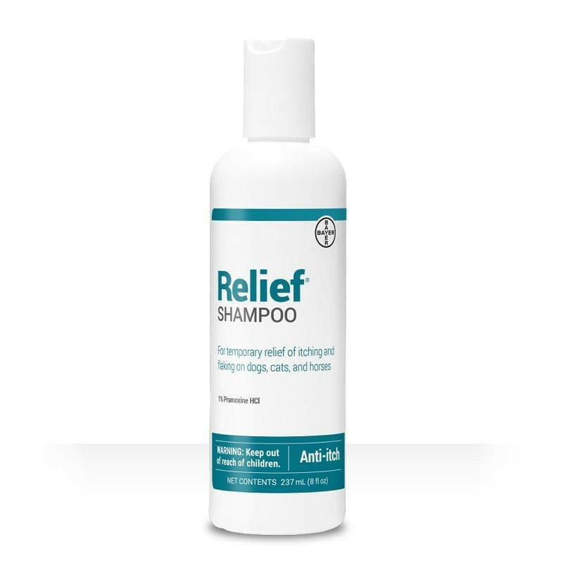 Relief Shampoo