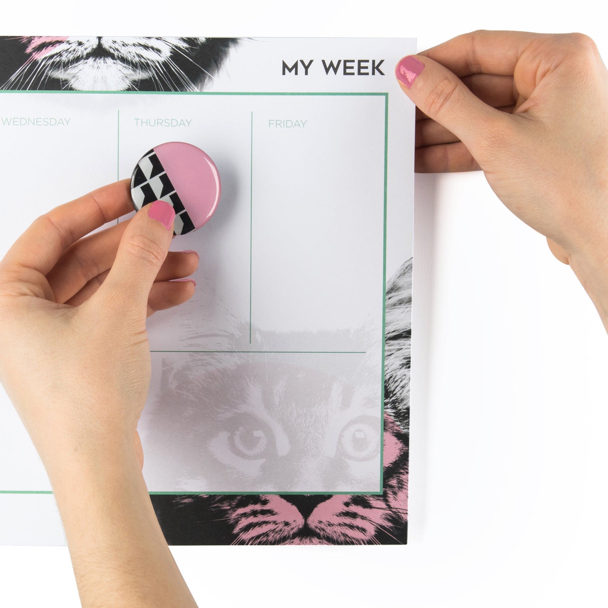 Cat Weekly Planner | Undated 52 Page Desk Organizer with 2 Magnets