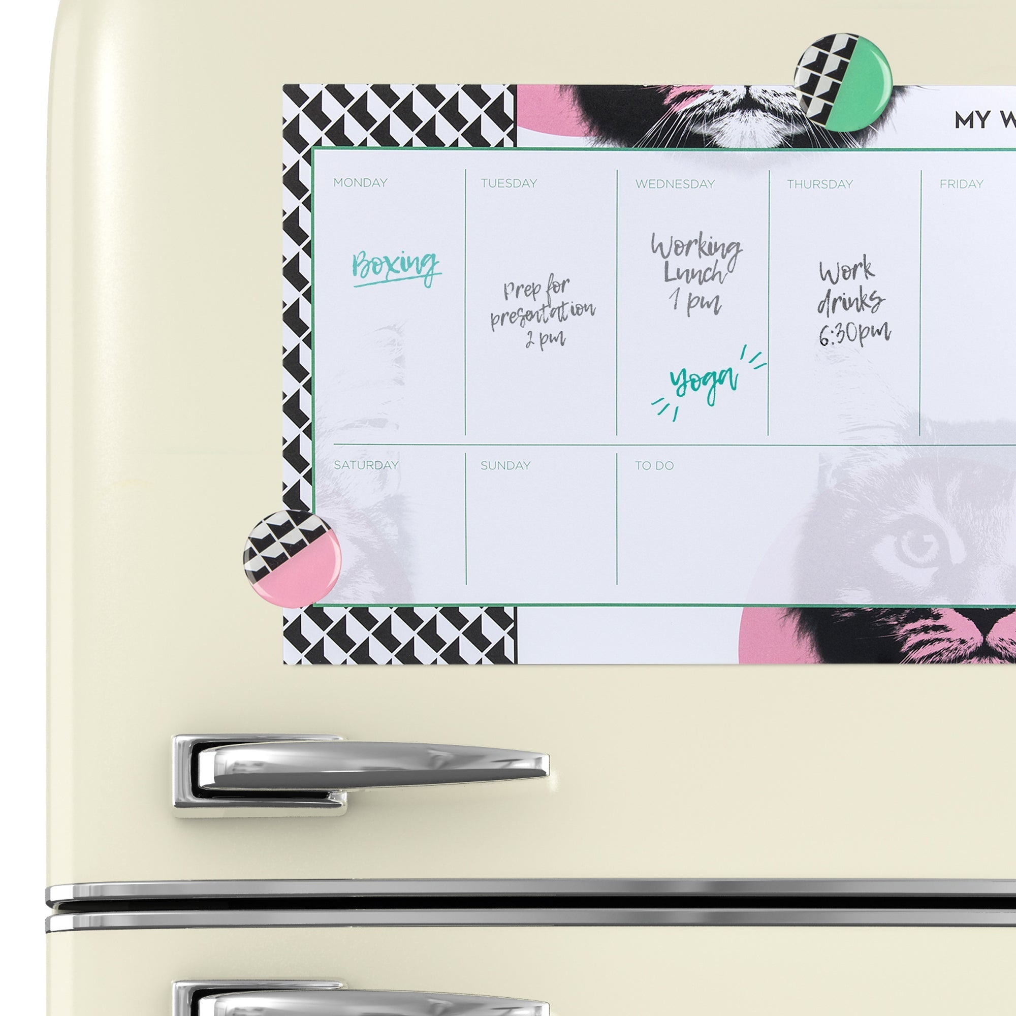 Cat Weekly Planner | Undated 52 Page Desk Organizer with 2 Magnets