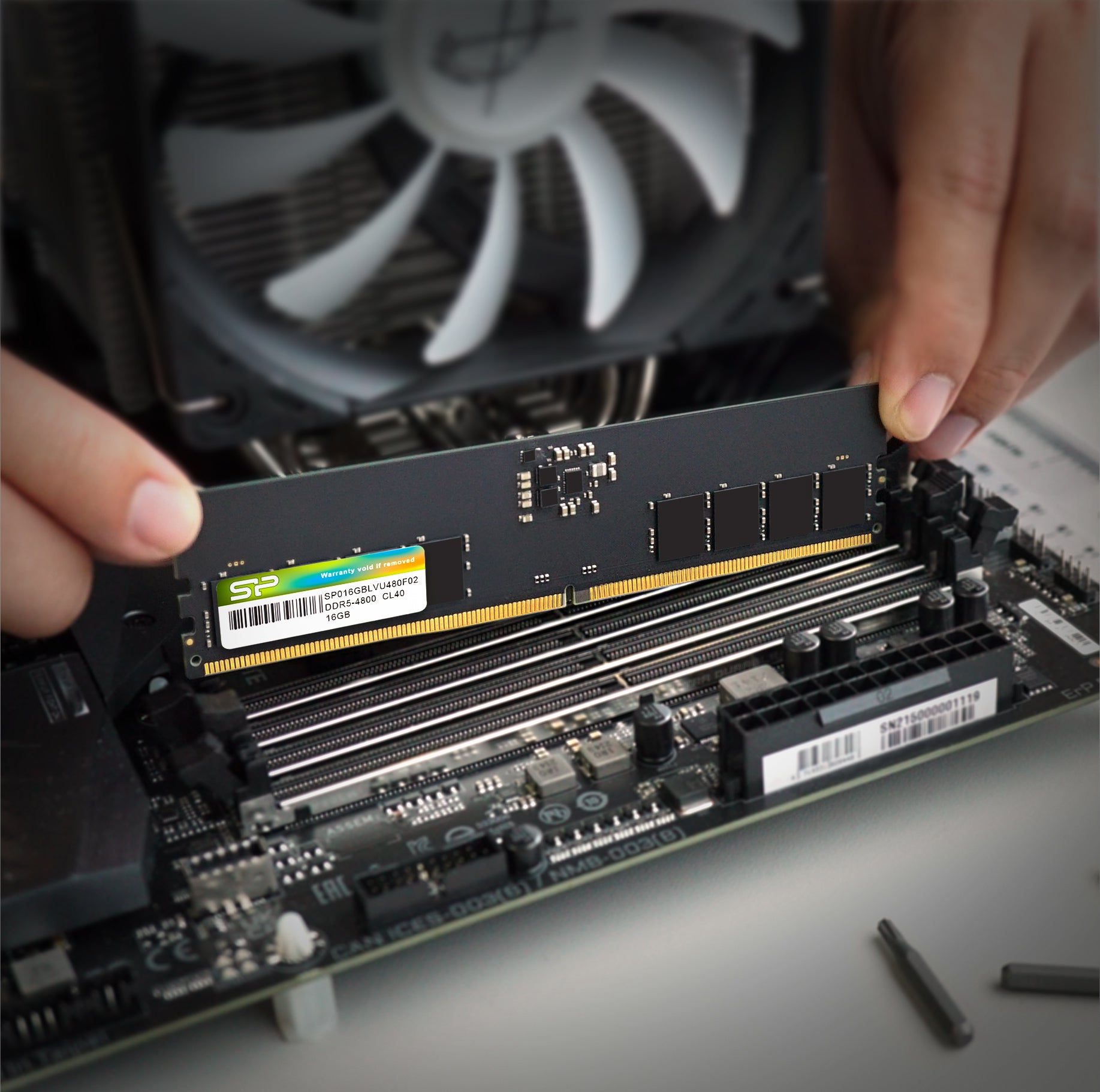 Silicon Power DDR5 4800MT/s (PC5-38400) 16GB-32GB 1.1V Desktop Unbuffered DIMM