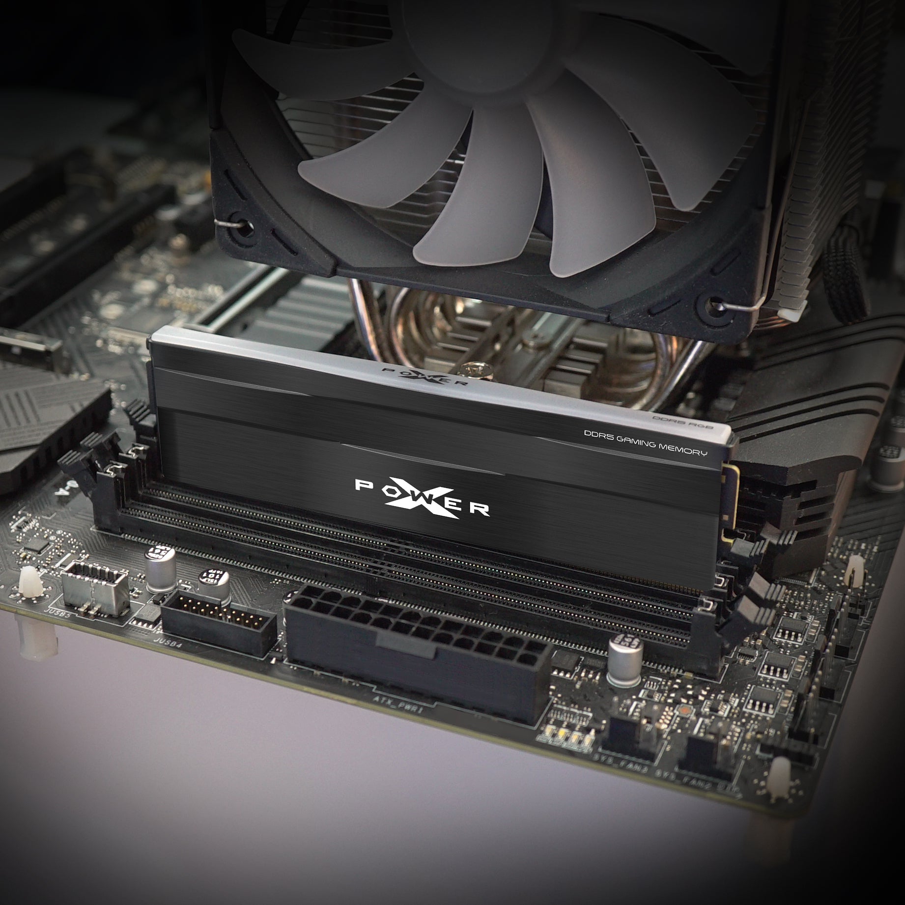 Silicon Power Zenith RGB DDR5 6000MT/s (PC5-48000) CL36 32GB(2x16GB) AMD Expo/Intel XMP 3.0 Dual Pack 1.35V Desktop Unbuffered DIMM