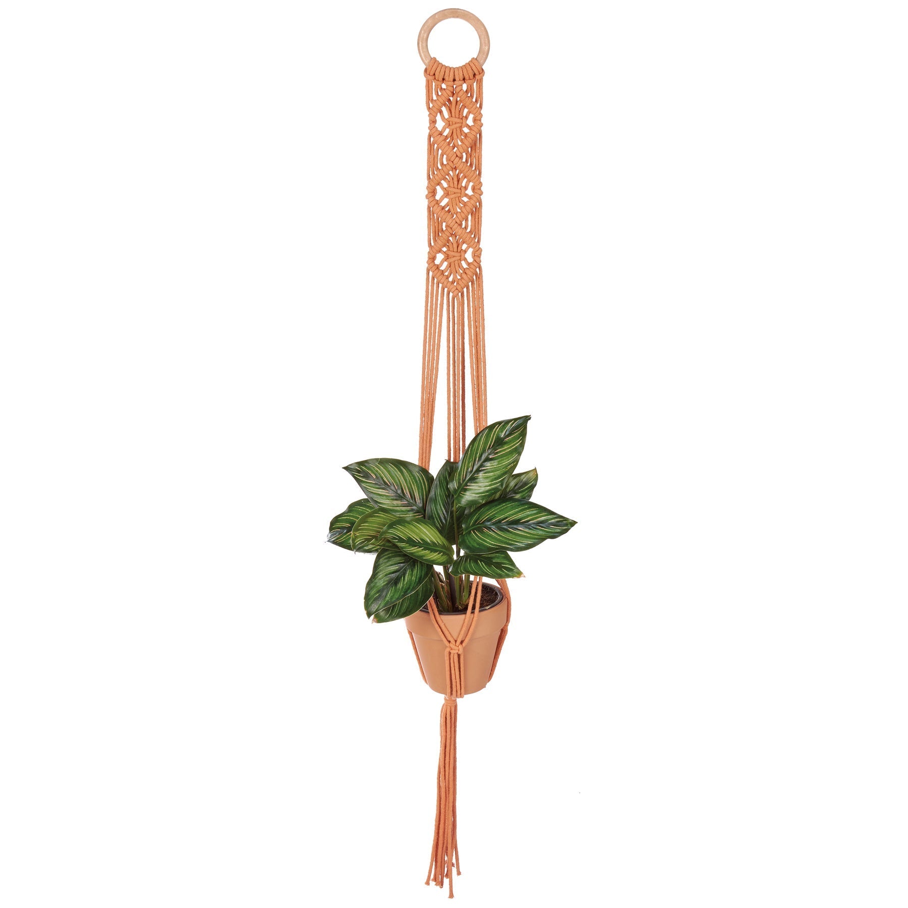 Diamond Macrame Plant Hanger | Hanging Plant Pot Holder | 36"