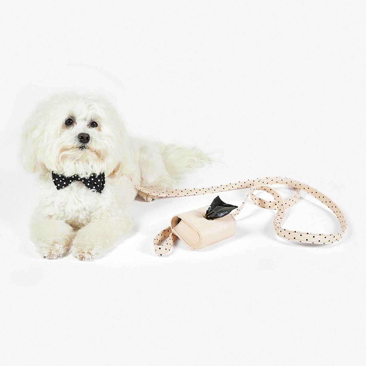 Dog Collar and Leash in Blush Pink Polka Dot | Faux Saffiano Leather