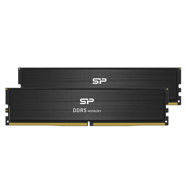 Silicon Power Value Gaming DDR5 5600MHz (PC5-44800) 32GB 