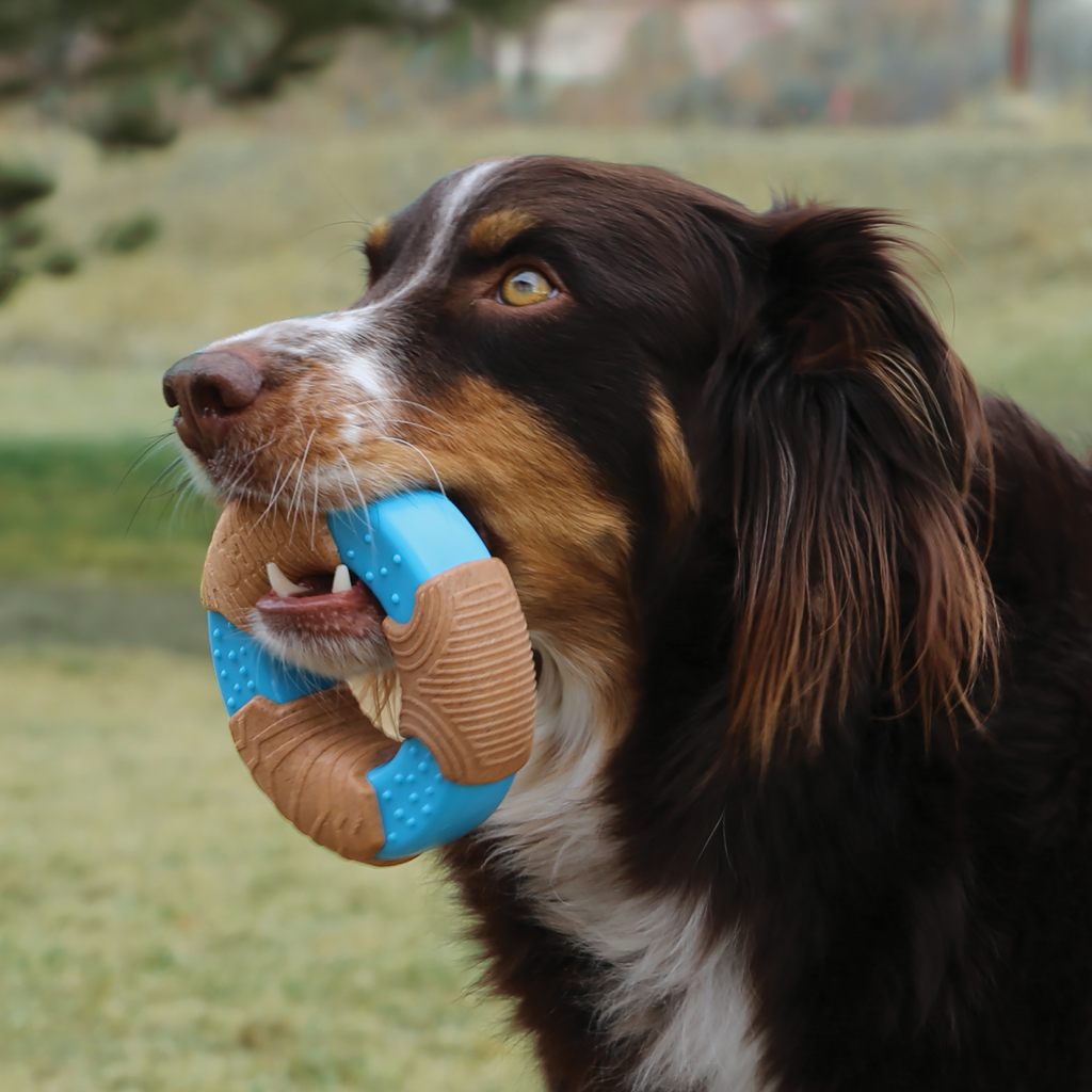 Kong CoreStrength Bamboo Bone Toy For Dogs