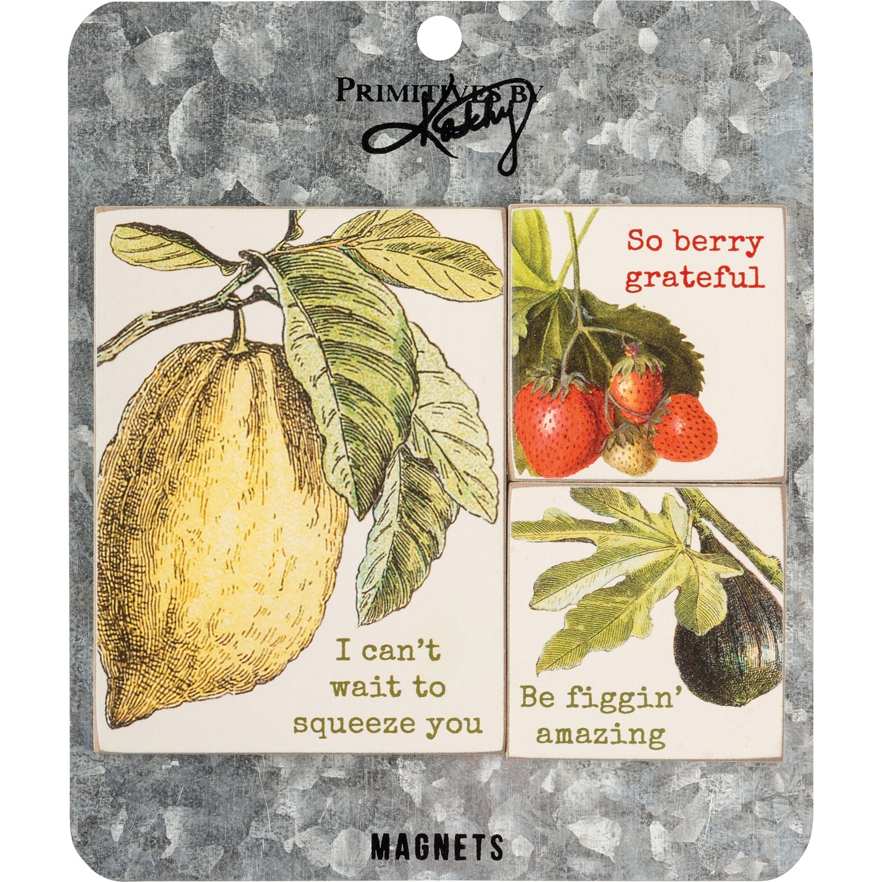 Fruit Puns Magnetic Memo Holder Set | 3 Magnets on a Metal Gift Backing