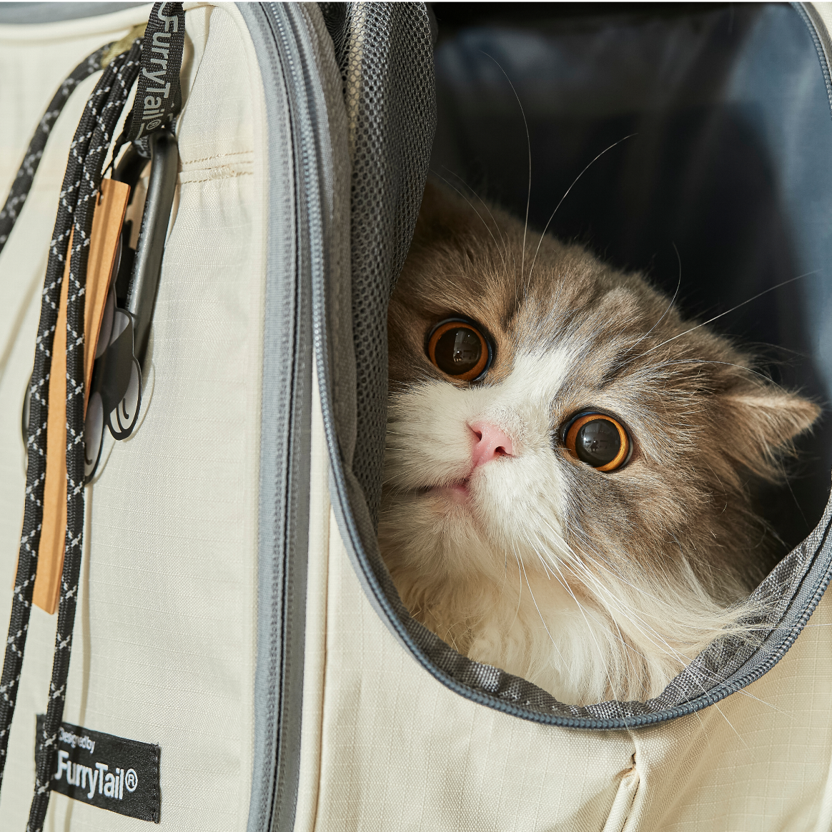 Pet Carrier