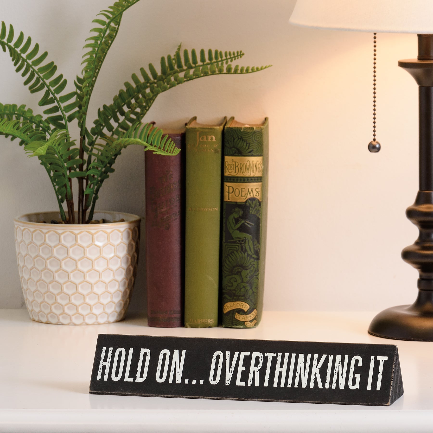 Hold On Overthinking It / I Cannot Adult Today Reversible Wooden Desk Plate