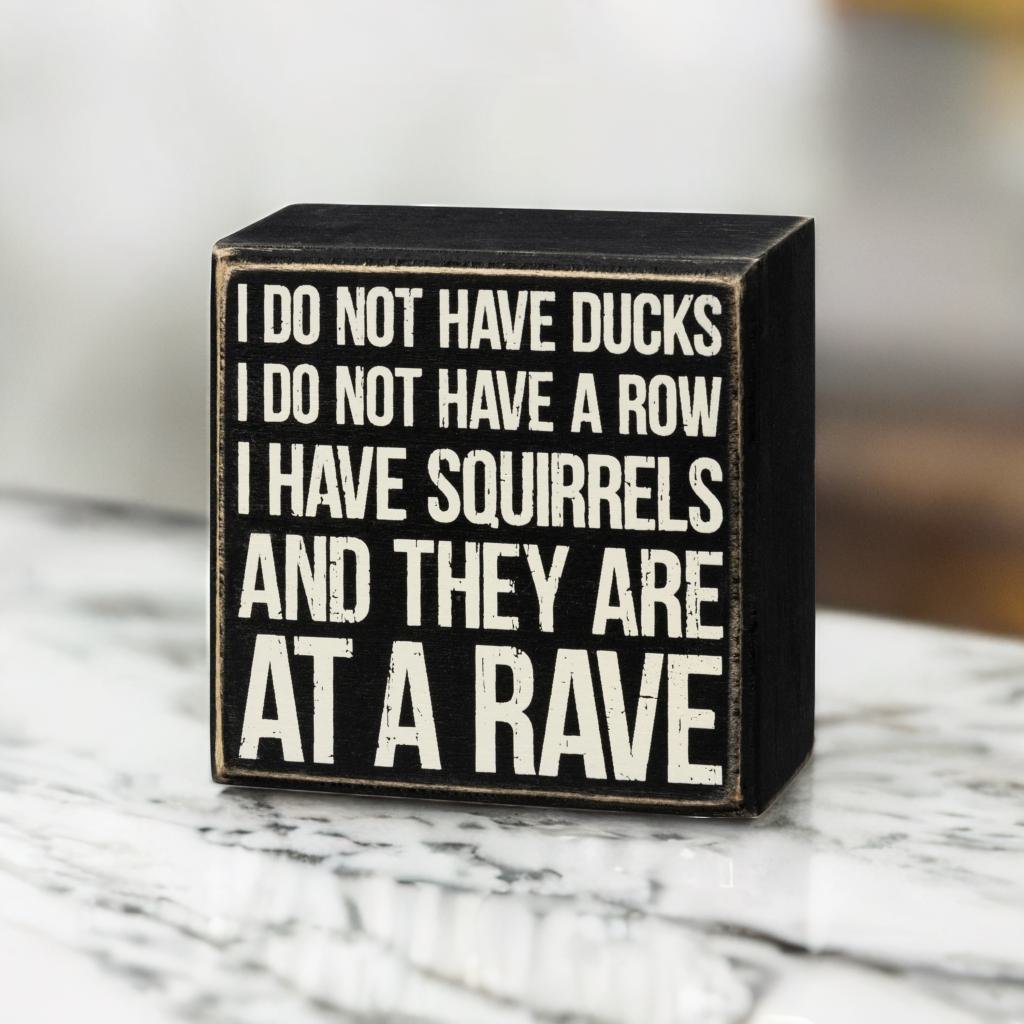 I Have Squirrels And They Are At A Rave Box Sign in Black with White Lettering