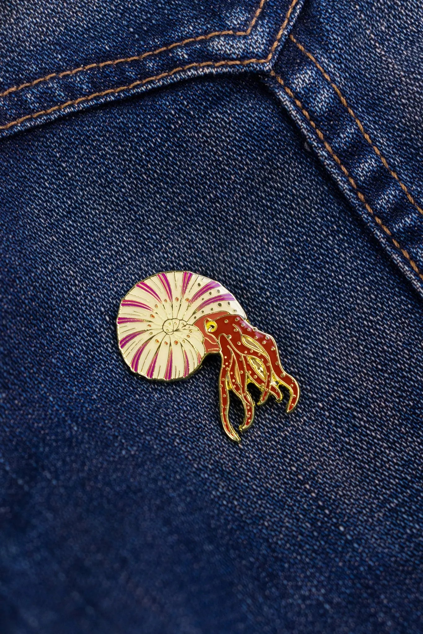 Ammonite Pin