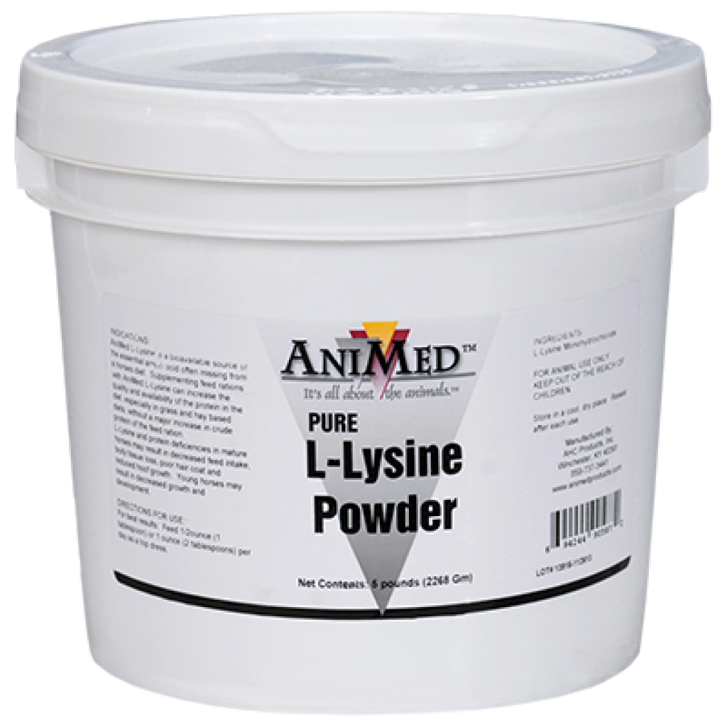 AniMed Pure L-Lysine Powder For Horses