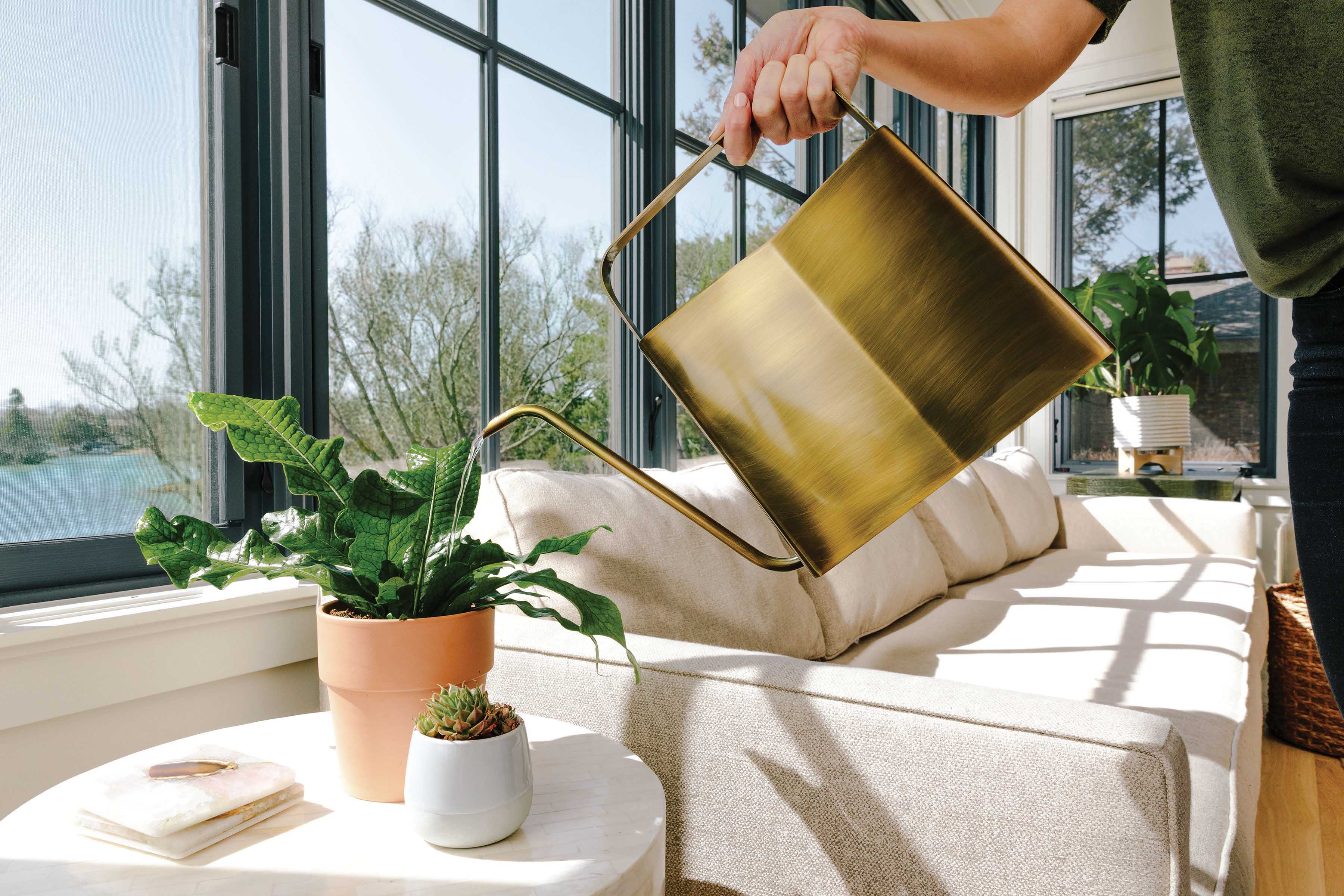 Watering Cans