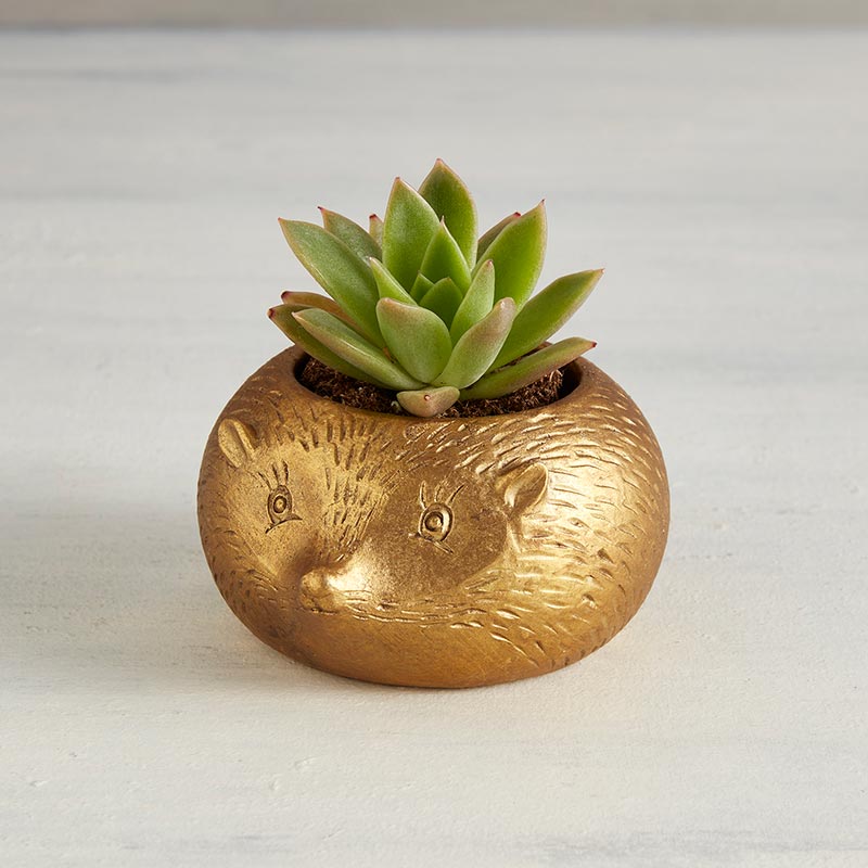 Mole Gold Metallic Mini Planter Pot