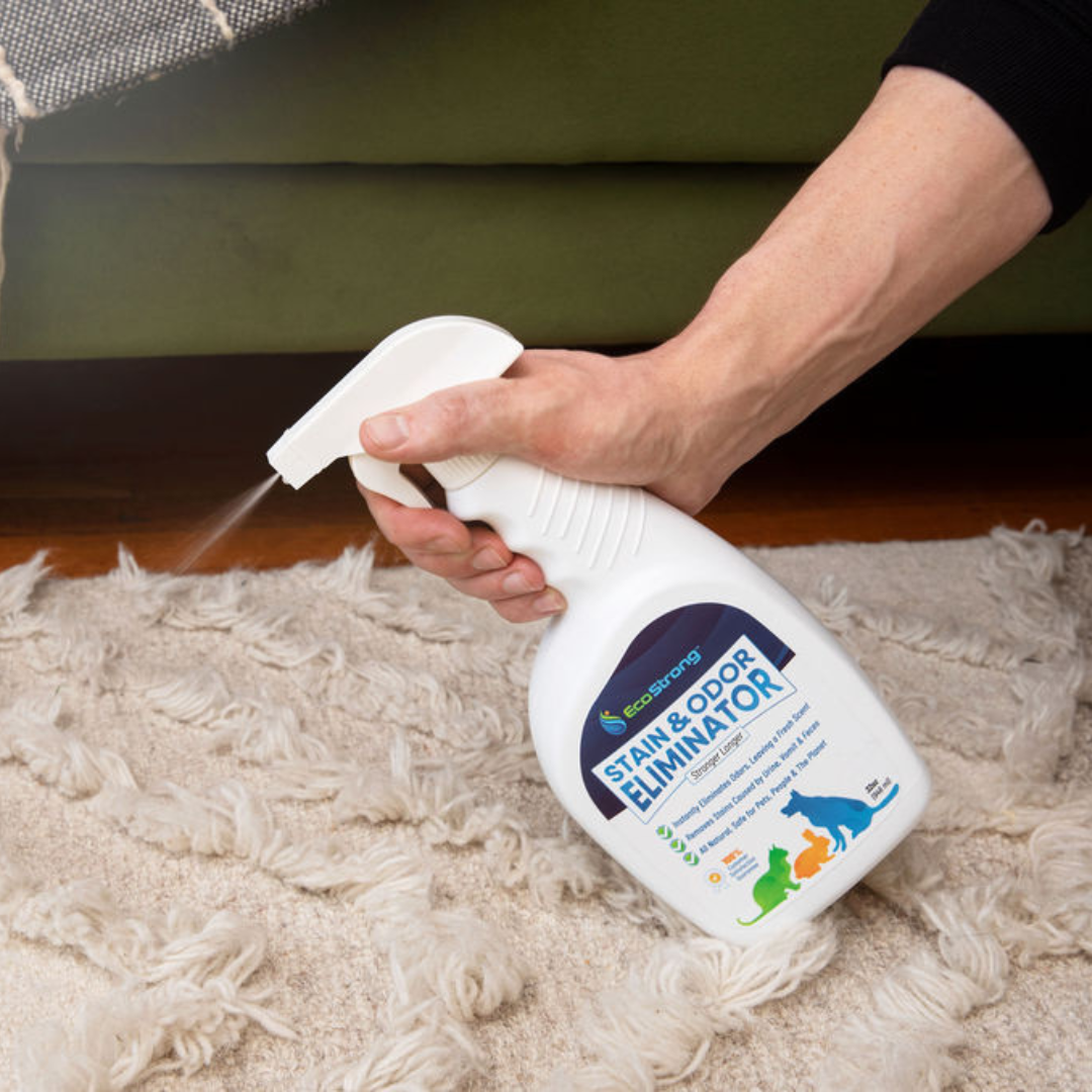 Pet Stain and Odor Eliminator