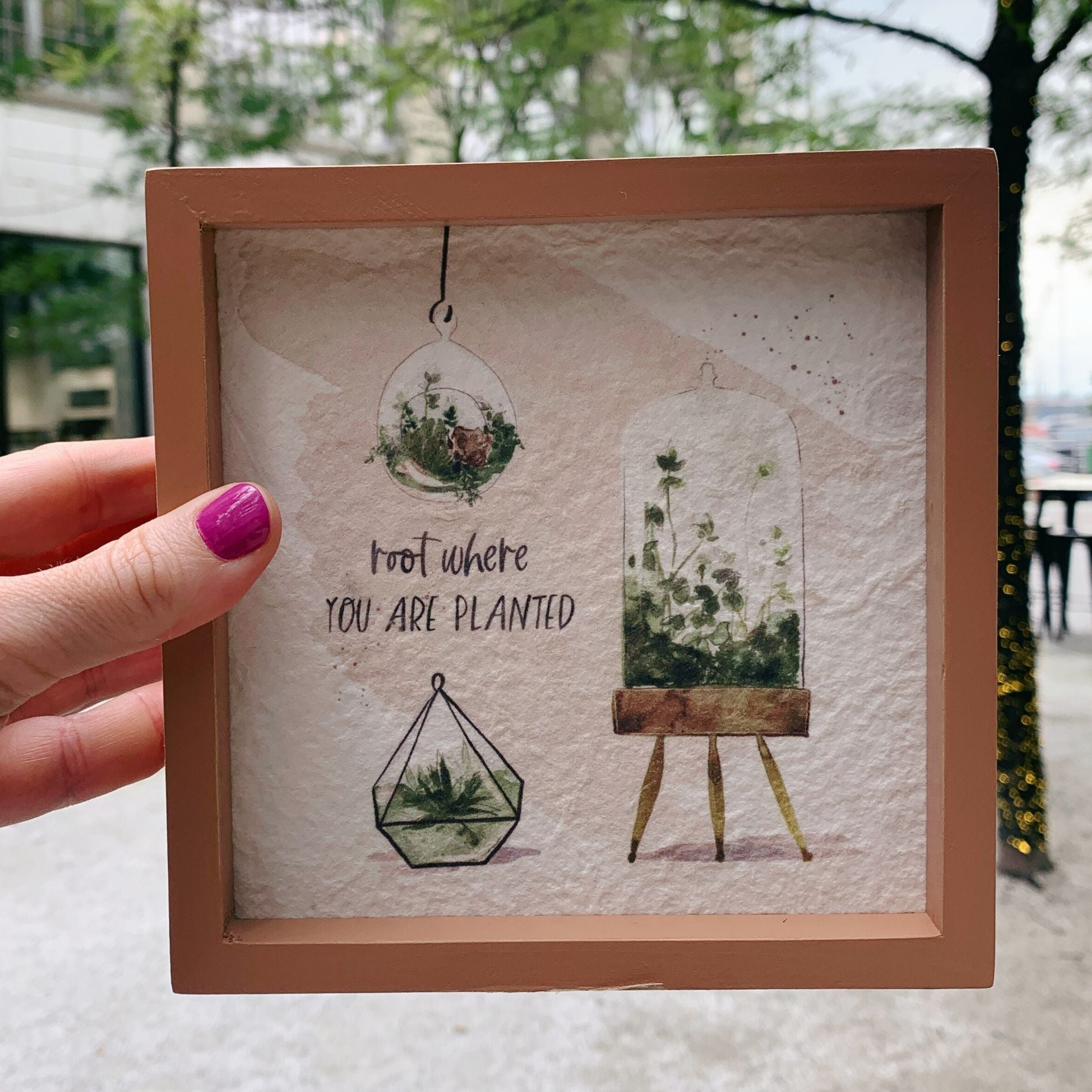 Root-Where-You-Are-Planted-