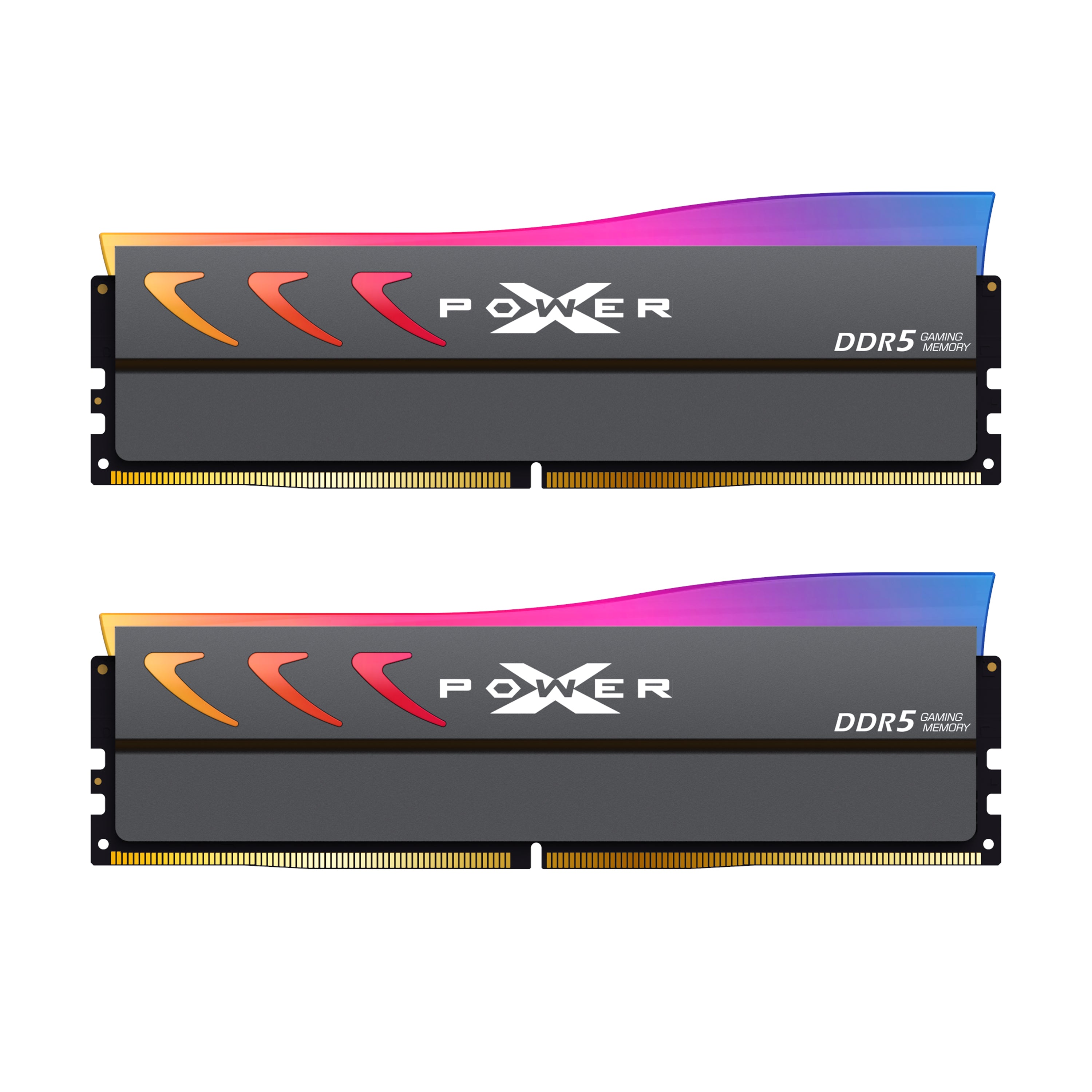 Silicon Power Storm RGB DDR5 6400MT/s (PC5-51200) CL32 32GB(16GBx2)-64GB(32GBx2) Dual Pack 1.4V Desktop Unbuffered DIMM [Gray/White]