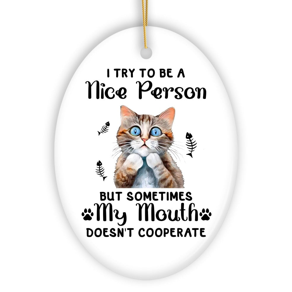 Funny Cat Trying to be a Nice Person, Cute and Funny Christmas Gift