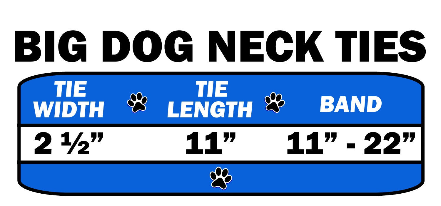 Big Dog Neck Ties, "Summer Breeze"